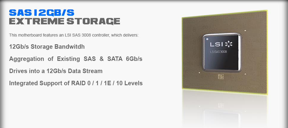 SAS 12Gb/s Storage